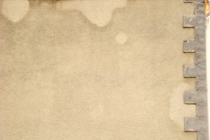 Image1